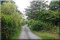 Crossing Betchcott Brook