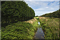 Black Brook from the bridge