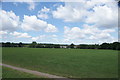 View of houses on Greensted Road from Roding Valley Nature Reserve #3