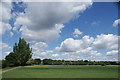 View of houses on River Way from Roding Valley Nature Reserve