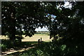 View of houses in Loughton from Roding Valley Nature Reserve #3