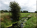 Footbridge on Shipham Rhyne