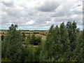 TR3654 : View from observation platform at Fowlmead Country Park by PAUL FARMER