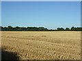 Stubble field off Nafferton Road, Wansford