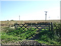 TA0355 : Field entrance off Driffield Road by JThomas