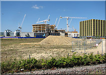 TL4654 : Building the new Papworth Hospital by John Sutton