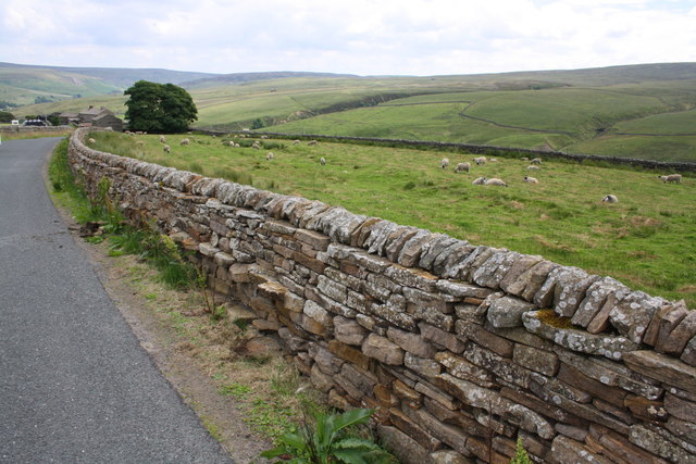 Dry stone wall beside B6270 approaching Pry House