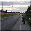 SK6739 : Cycle path beside the A52 by David Lally