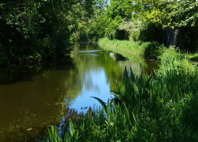 The Union Canal at Almond