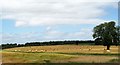 Crop land at Bellmanear Farm