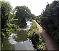 East along the Stroudwater Canal, Stonehouse