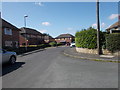 Sycamore Avenue - viewed from Rosewood Avenue