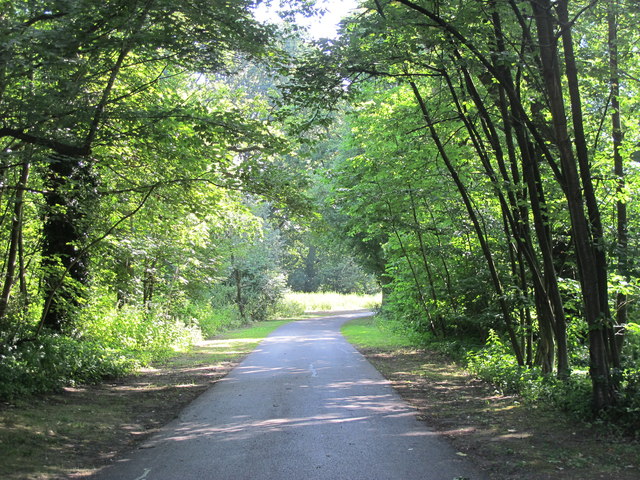 Track in Somerhill Park © Mike Quinn cc-by-sa/2.0 :: Geograph Britain ...