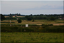 ST2926 : Taunton Deane : Grassy Field by Lewis Clarke