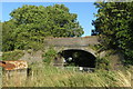 Bridge over the disused railway