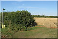 Footpath into Steeple Claydon