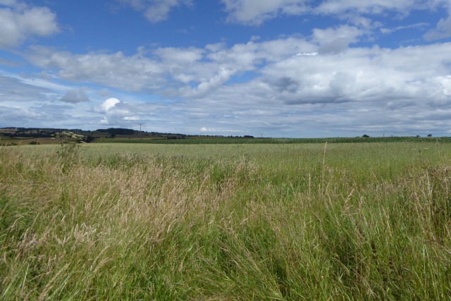 Farmland near Greenrigg