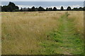 Footpath towards Chalton