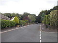 Butternab Road - viewed from Delves Wood Road