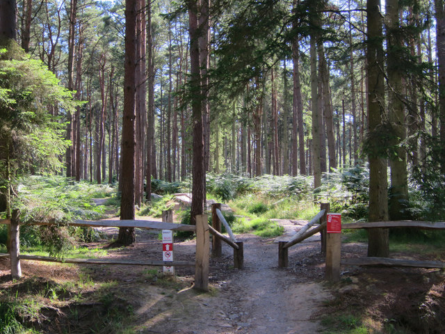 bedgebury mtb trail map