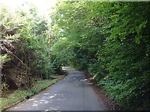 TQ6056 : Thong Lane, near Borough Green by Chris Whippet