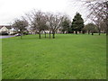 Trees on a green in Pucklechurch