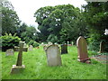 TM2998 : St Margaret, Kirstead: churchyard (2) by Basher Eyre
