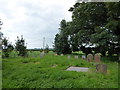 TM2998 : St Margaret, Kirstead: churchyard (5) by Basher Eyre