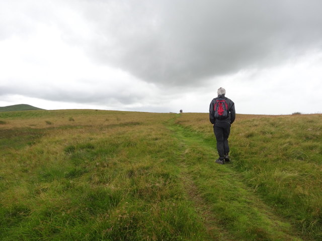 St Cuthbert's Way leading to the Border Ridge and the Pennine Way
