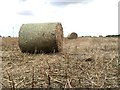 Bales of Hay