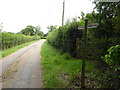 Footpath leaves bridleway on the way to Fewhurst Farm