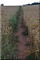 Mid Devon : Footpath & Field