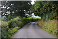 Mid Devon : Country Lane