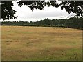 Open fields with horses