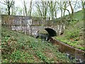 Bridge over the Gwynon