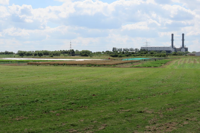 Fenland south of Pinchbeck pumping station