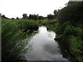 Bottesford Beck