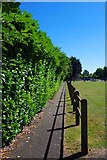 SP2706 : Footpath along edge of Alvescot Road Recreation Ground, Alvescot Road, Carterton, Oxon by P L Chadwick