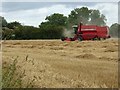SO8742 : Combining wheat field by Philip Halling