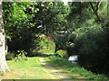 Riverside footpath, near New Earswick