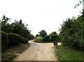 TM0374 : Kiln Farm Lane & footpath by Geographer