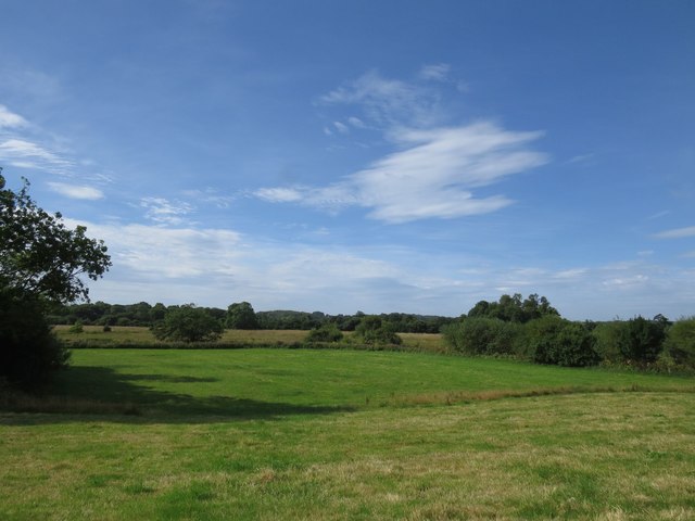Water meadows south of Lower Bockhampton