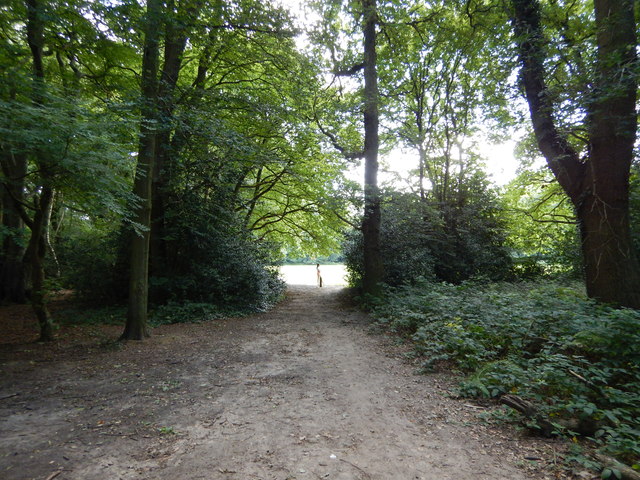 Claygate Common © James Emmans cc-by-sa/2.0 :: Geograph Britain and Ireland