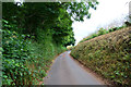 Mid Devon : Country Lane