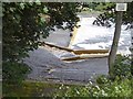 NY9464 : Fish pass and weir at Hexham Bridge by Oliver Dixon
