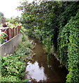 Cadoxton River, Dinas Powys