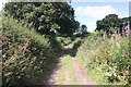 SJ5464 : The Sandstone Trail at Ridgehill Farm by Jeff Buck