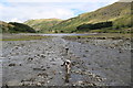 NY4610 : Another swimming venue for the spaniels - Haweswater by Des Colhoun