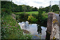 SX8898 : Newton St Cyres : River Creedy by Lewis Clarke
