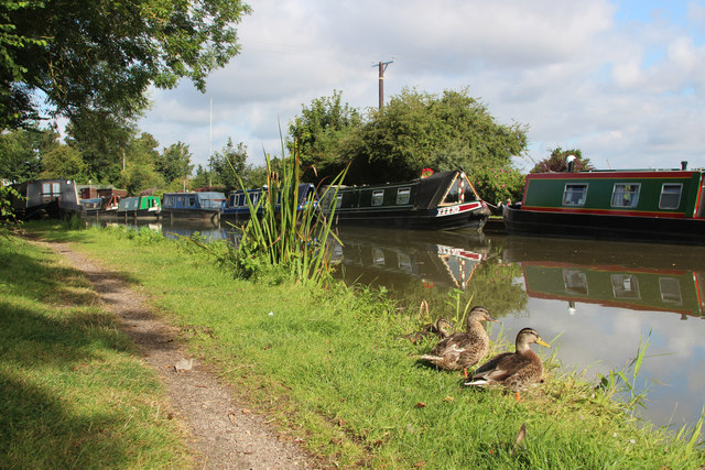 Ducks by the Grand Union Canal © Oast House Archive cc-by-sa/2.0 ...